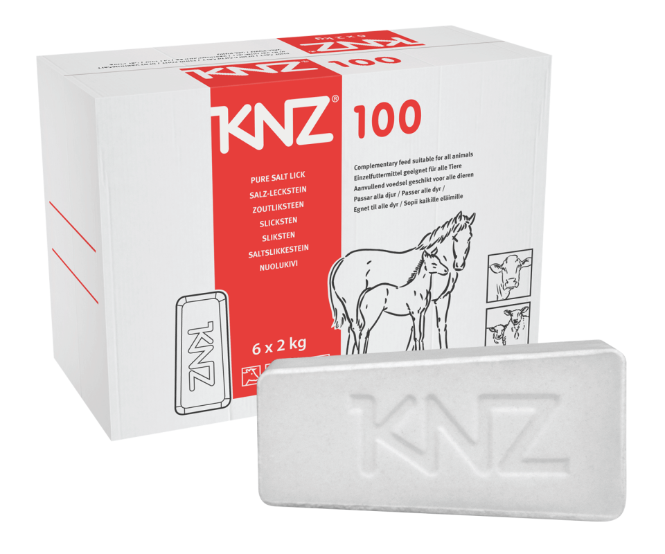 Salt licks KNZ 100 Basic (without additives)