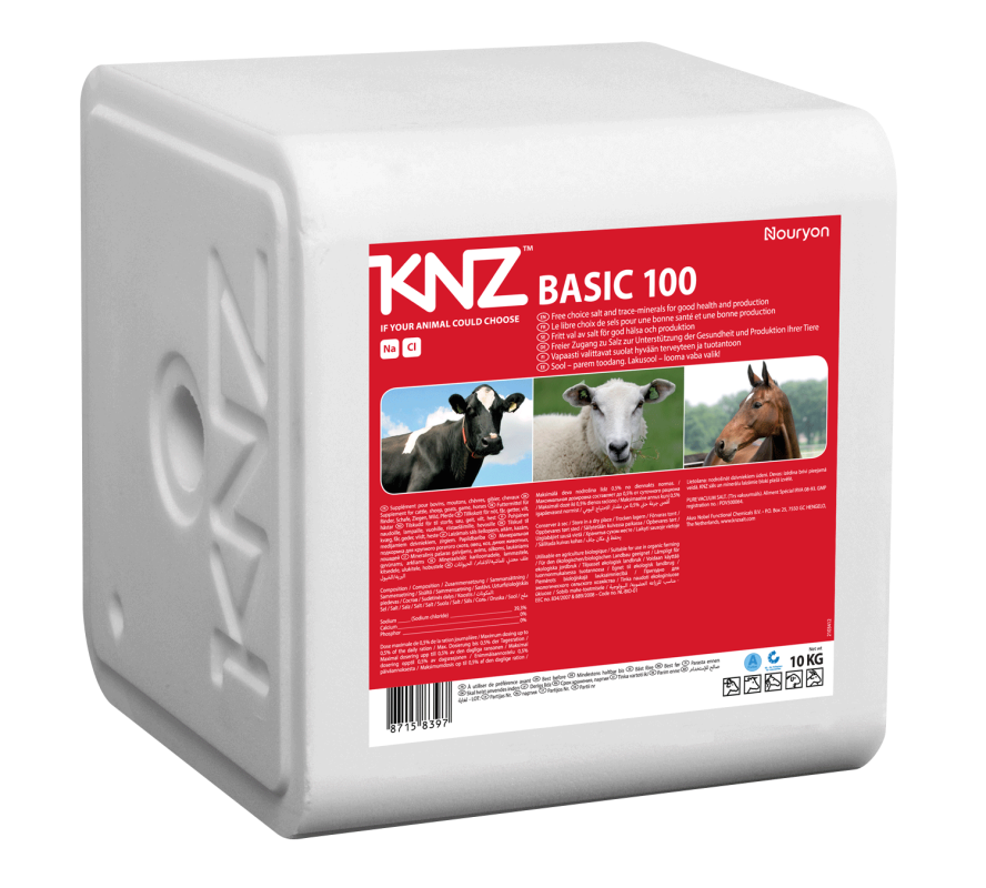 Salt licks KNZ 100 Basic (without additives)
