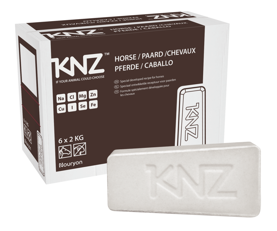 Salt licks KNZ Horse