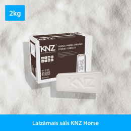 Salt licks KNZ Horse