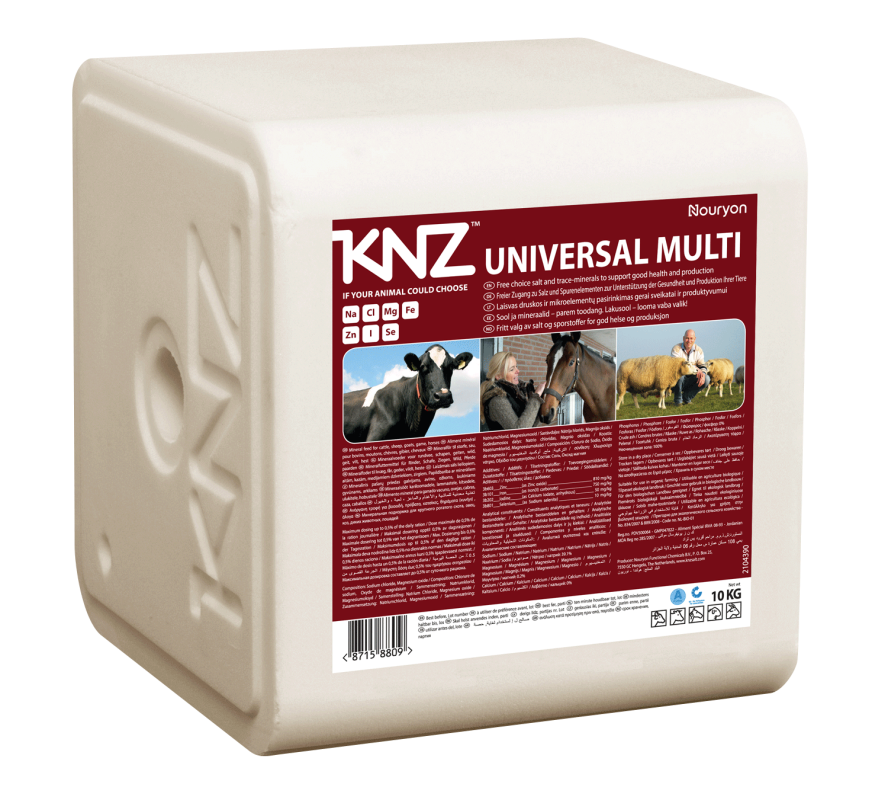 Salt licks KNZ Universal Multi