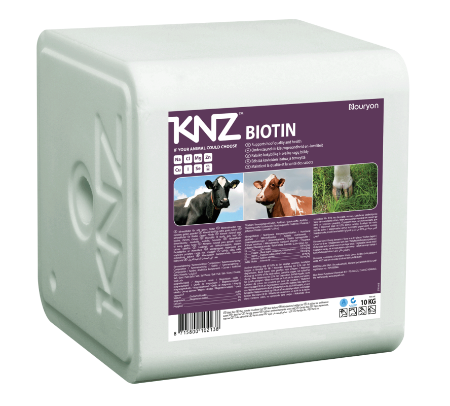 Salt licks KNZ Biotin (with Biotin)
