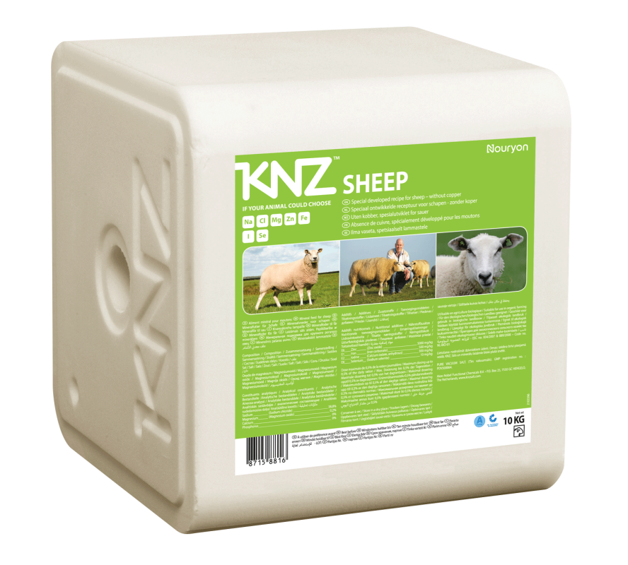 Salt licks KNZ Sheep