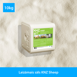 Salt licks KNZ Sheep