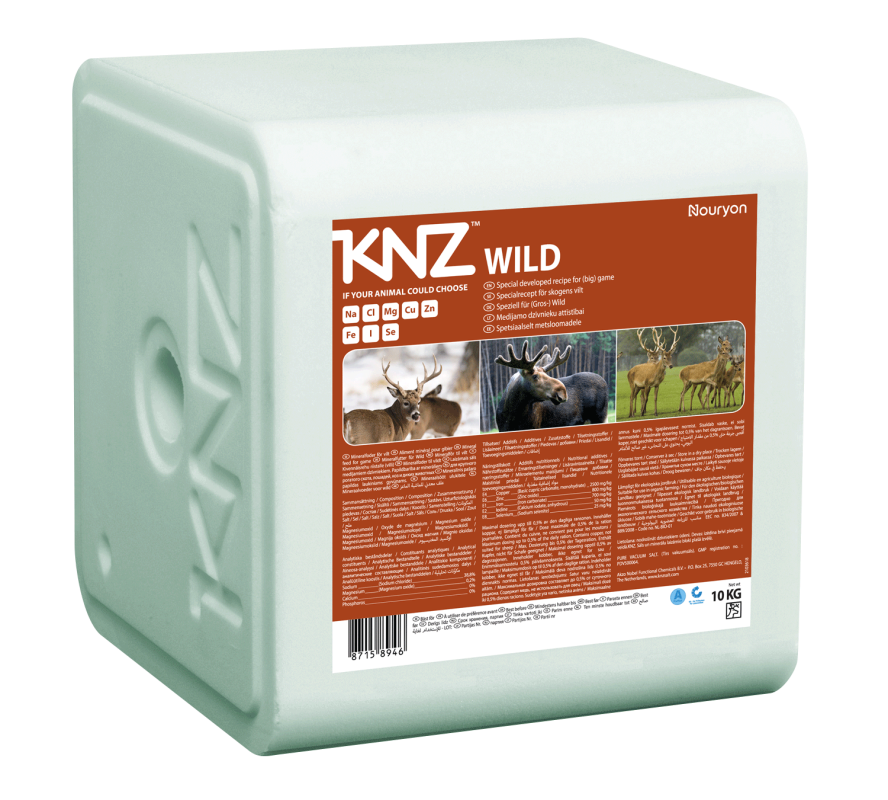 Salt licks KNZ Wild