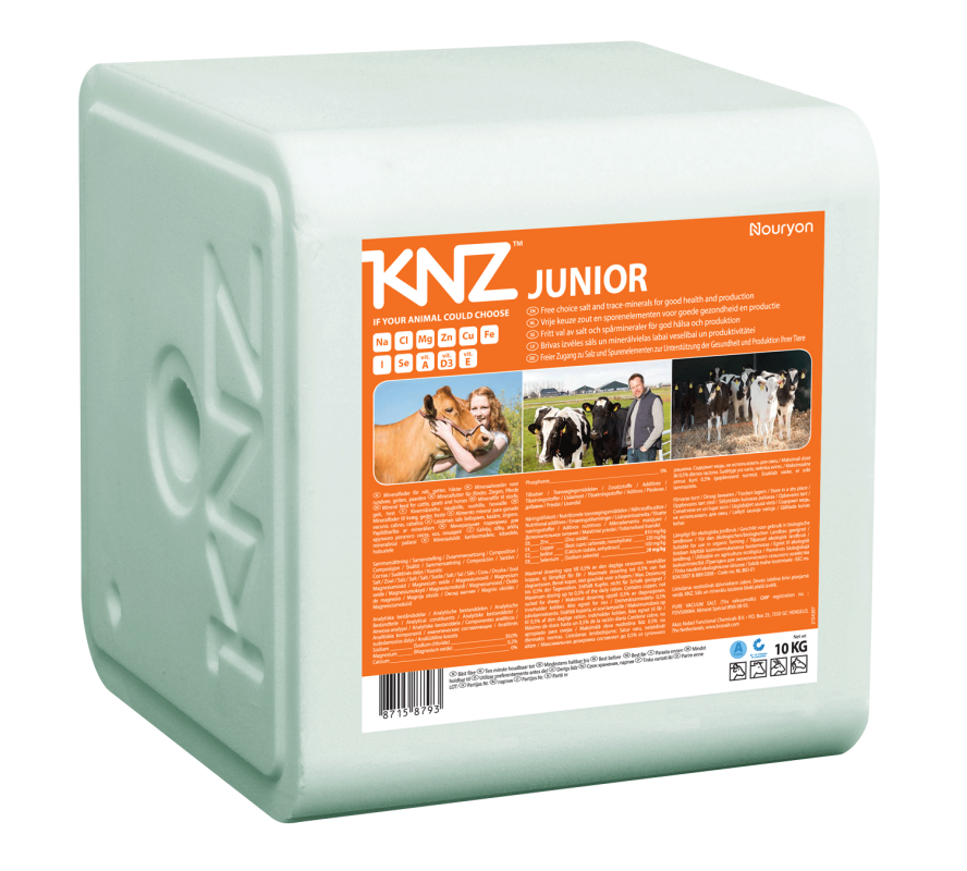 Salt licks KNZ Junior
