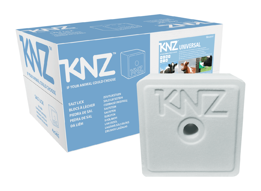 Salt licks KNZ Universal (with Selenium)