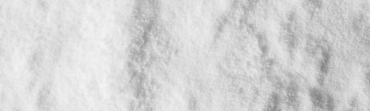 Special salt Suprasel Bacon Curing